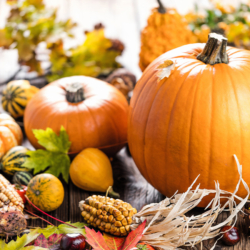 Kürbisse mit anderen Dekoartikeln wie Blättern, Kastanien und Maiskolben