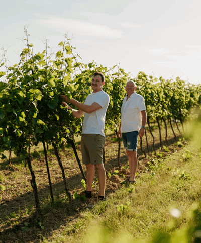 Rainer und Roman Oppenauer begutachten die Reben