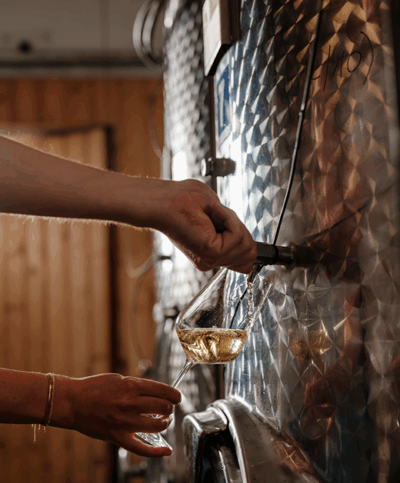 Wein wird abgefüllt