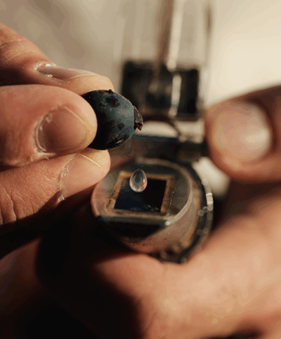 Die Trauben werden getestet