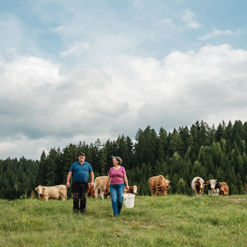 Familie Zechner auf der Weidegenussrind-Weide