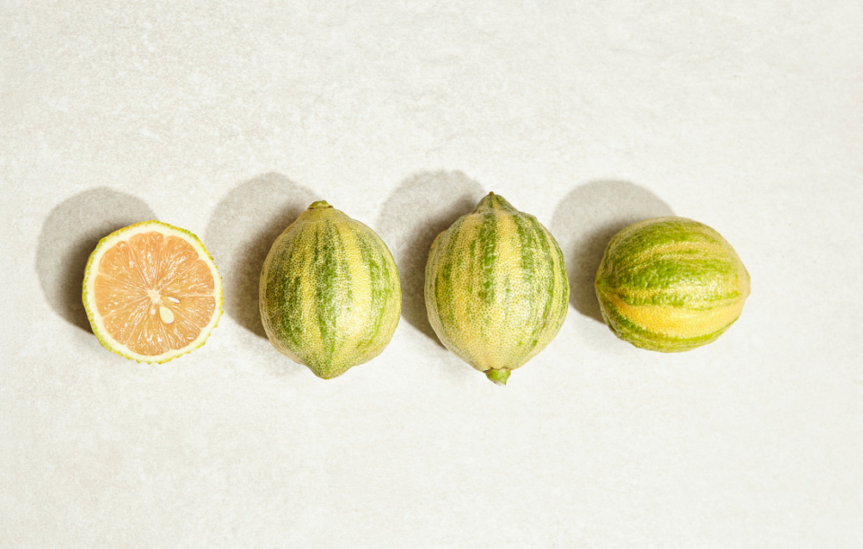 Die Tigerzitrone – die Zitrusfrucht im Tiger-Look