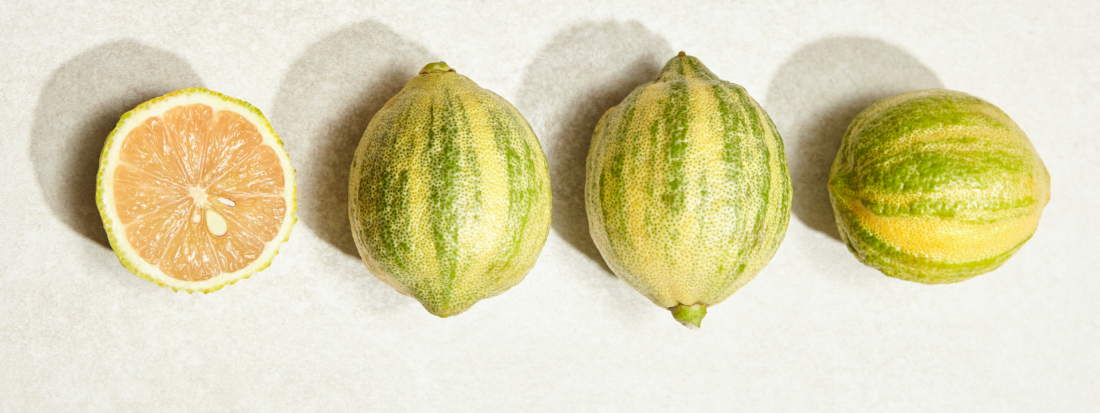 Die Tigerzitrone – die Zitrusfrucht im Tiger-Look