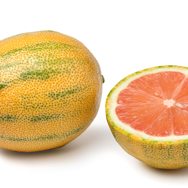 Tigerzitrone aufgeschnitten