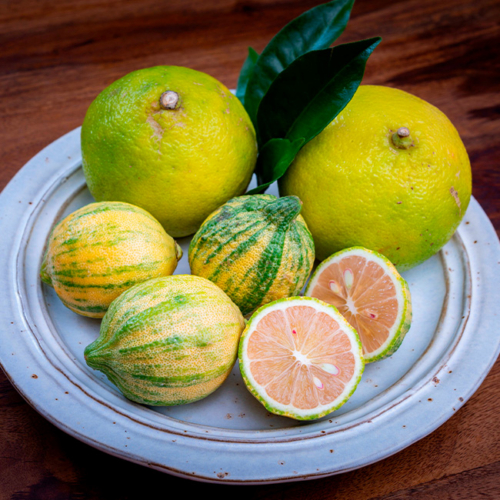 Tigerzitronen auf einem Teller