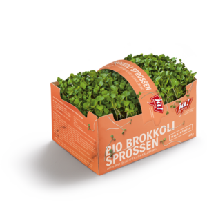 Bio-Brokkoli Sprossen