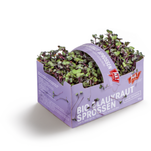 Bio-Blaukraut Sprossen