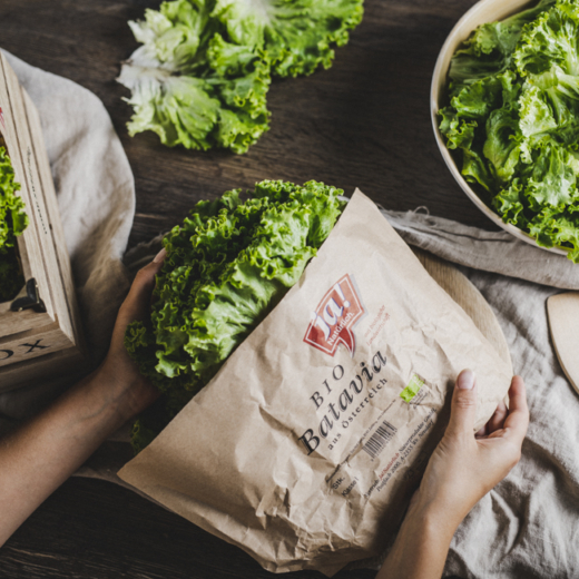 Ein Häupel Ja! Natürlich Bio-Batavia-Salat.