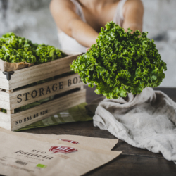 Jemand hält Ja! Natürlich Bio-Salat.