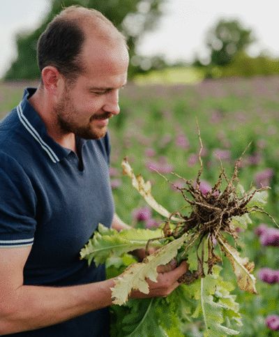 Hanns Seifried begutachtet die Wurzeln