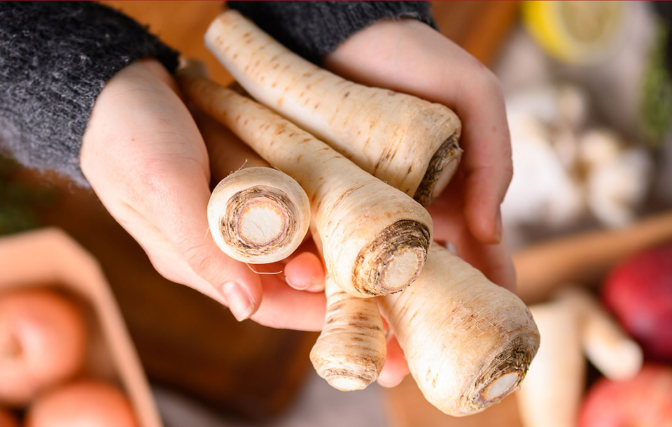 Ernährungswissenschaftlerin Margit Fensl übernimmt Patenschaft für die Petersilienwurzel