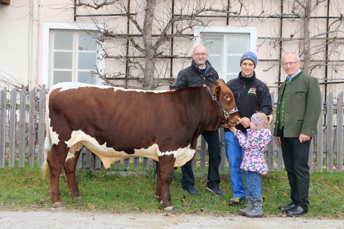 Ja! Natürlich beim Pinzgauer Herbststiermarkt 2019: Zuchtstier steht im Vordergrund, Andreas Steidl, Christian Dullnigg, Obmann der ARGE Pinzgauer Rind und 2 weitere Personen dahinter bzw. daneben
