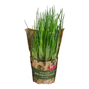Bio-Schnittlauch