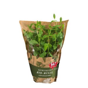 Bio-Minze
