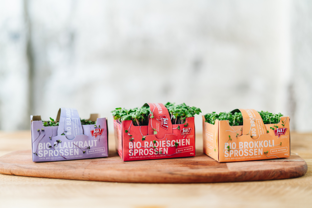 Drei Kartons mit verschiedenen Ja! Natürlich Bio-Sprossensorten.