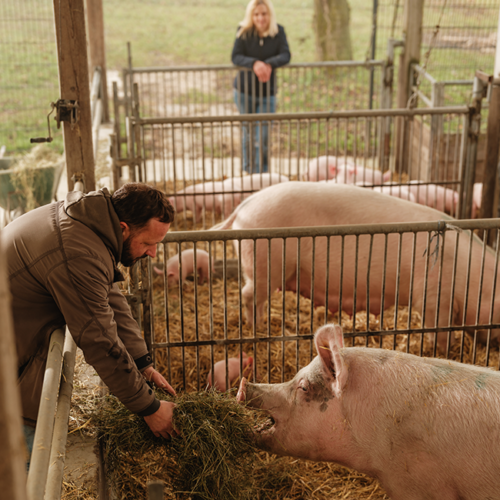 Christian Neumann am Strohschwein-Stall