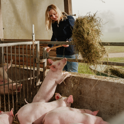 Doris Neumann füttert die Schweine mit Stroh
