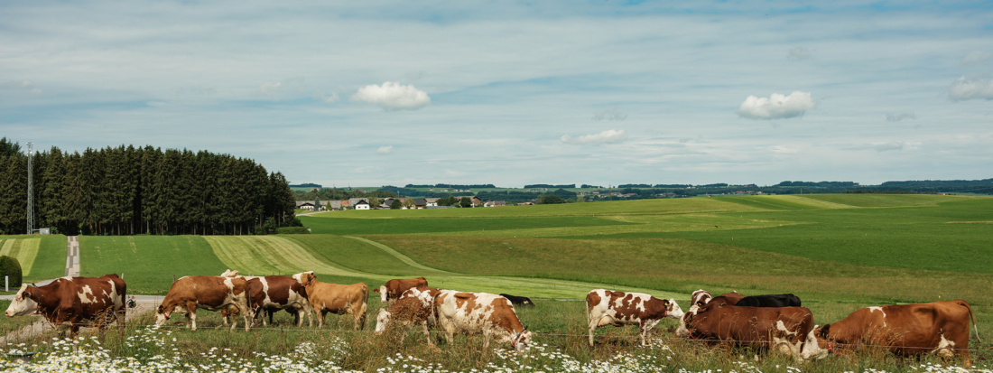 Mehr Tierwohl? Ja Natürlich!