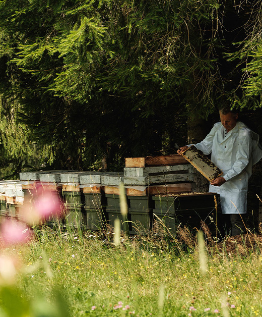 Imker bei Bienenstöcken - Ja! Natürlich