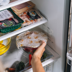 Lagerung von Bio-Lebensmittel im Kühlschrank.