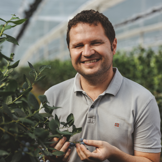 Ja! Natürlich Bio Bauer Manfred bei der Ernte von Heidelbeeren