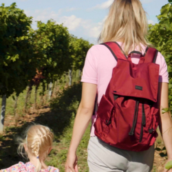 Eine Frau mit Kind spaziert durch die Weinberge.