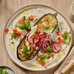 Geröstete Melanzani auf einem Teller mit Schafjoghurt und Buchweizen.