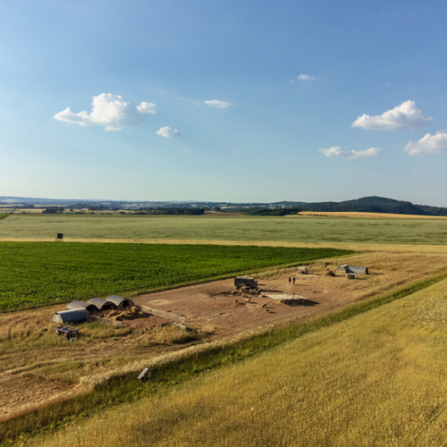 Feld