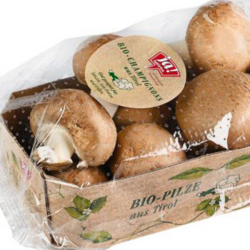 Champignons in einer Verpackung mit Folie