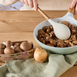 Champignons in einer Schale und angebraten in einer Pfanne