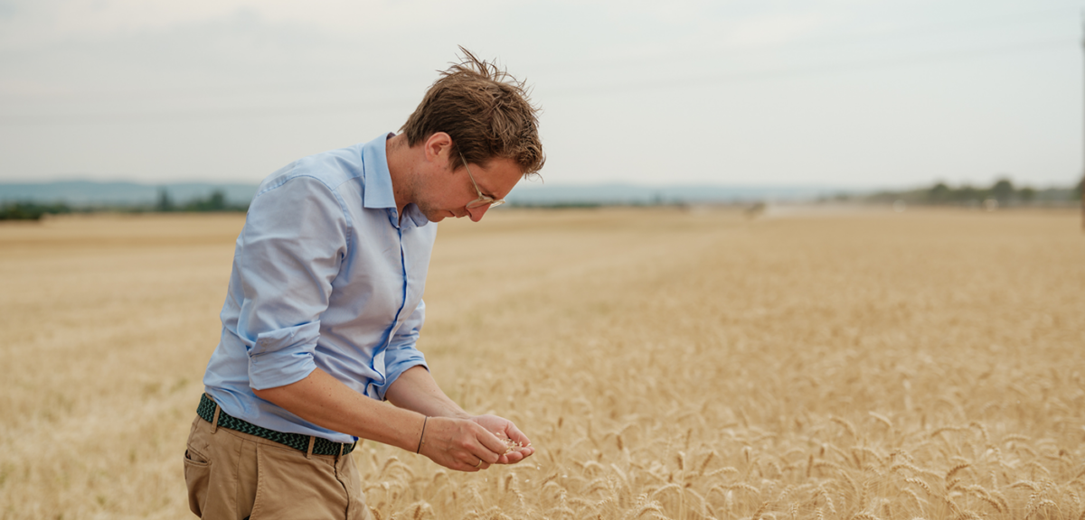 Markus Fritz (Esterhazy) am Getreide-Feld