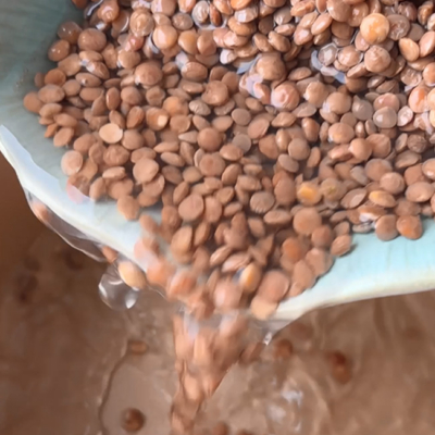 Bio-Tellerlinsen werden in einen Topf gegeben und gekocht.