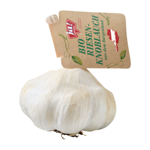 Bio Riesenknoblauch