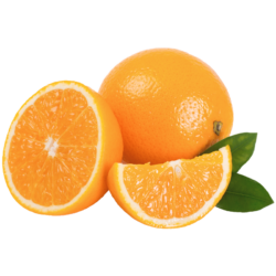 Bio-Orangen.
