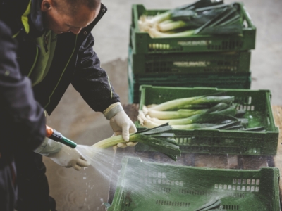 Bio-Lauch wird gewaschen- Ja! Natürlich