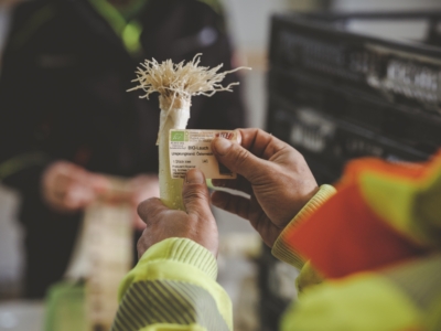 Bio-Lauch wird etikettiert - Ja! Natürlich