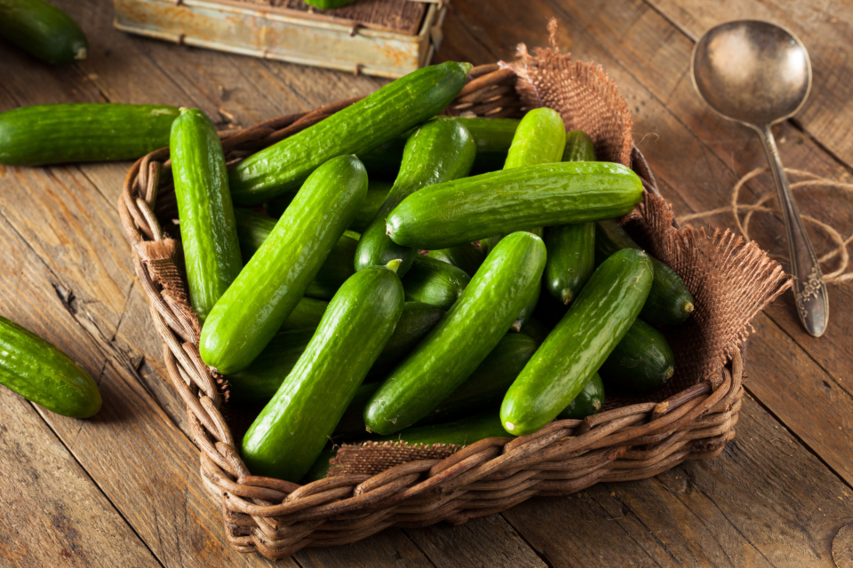 Klein, aber oho – tolle Rezepte mit Bio-Mini Gurken