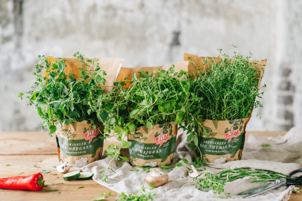 Verschiedene Ja! Natürlich Kräuter im Topf.