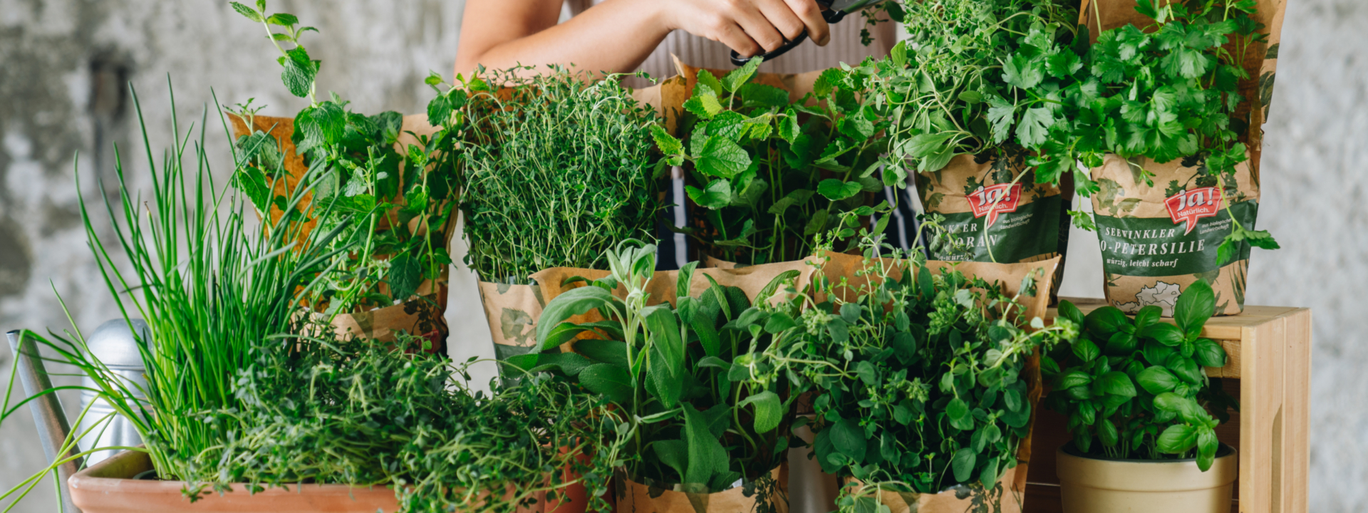 Bio-Kräuter von Ja! Natürlich.