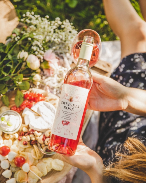 Jemand hält einen Ja! Natürlich Bio-Zweigelt-Rosé in der Hand.