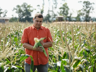 Andreas Sam am Maisfeld - Ja! Natürlich