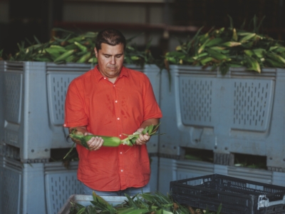 Andreas Sam kontrolliert Bio-Mais - Ja! Natürlich