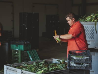 Andreas Sam kontrolliert Gemüse - Ja! Natürlich