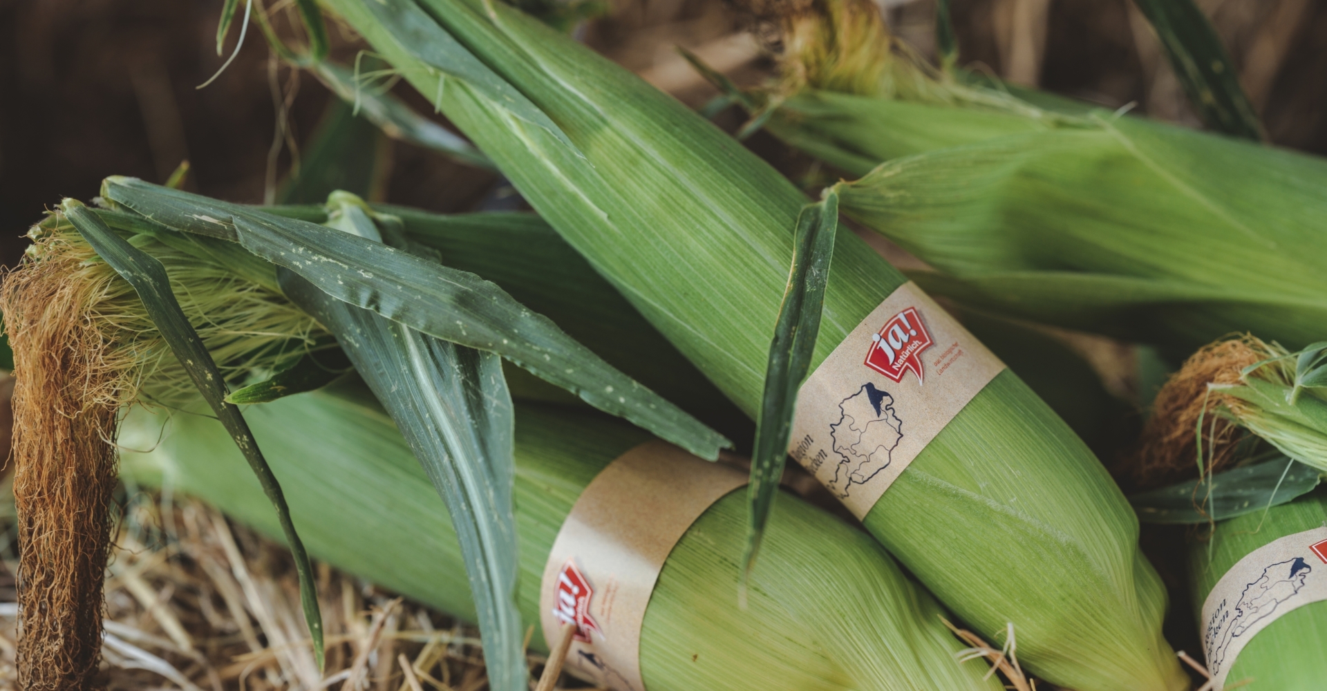 Bio-Maiskolben von Andreas Sam für Ja! Natürlich