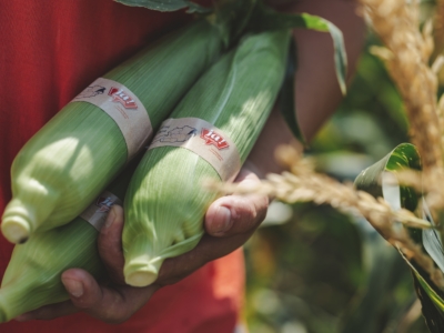 Bio-Maiskolben von Andreas Sam - Ja! Natürlich