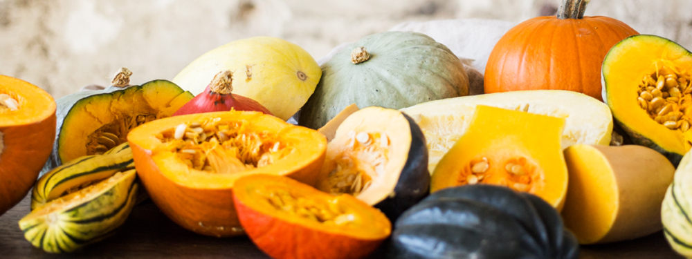 Bio-Kürbis-Raritäten.