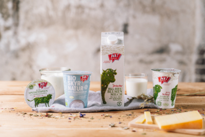 Milchprodukte mit Skyr