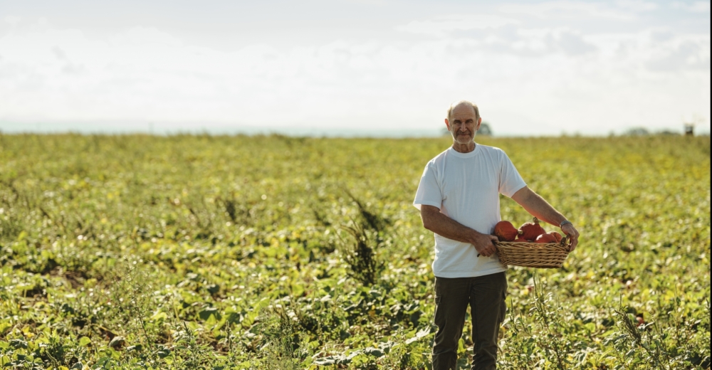 Hans Titz Hokkaido Kürbis