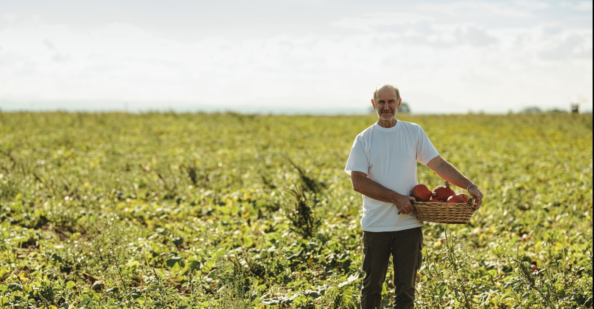 Hans Titz Hokkaido Kürbis