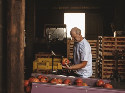 Hans Titz Hokkaido Kürbis